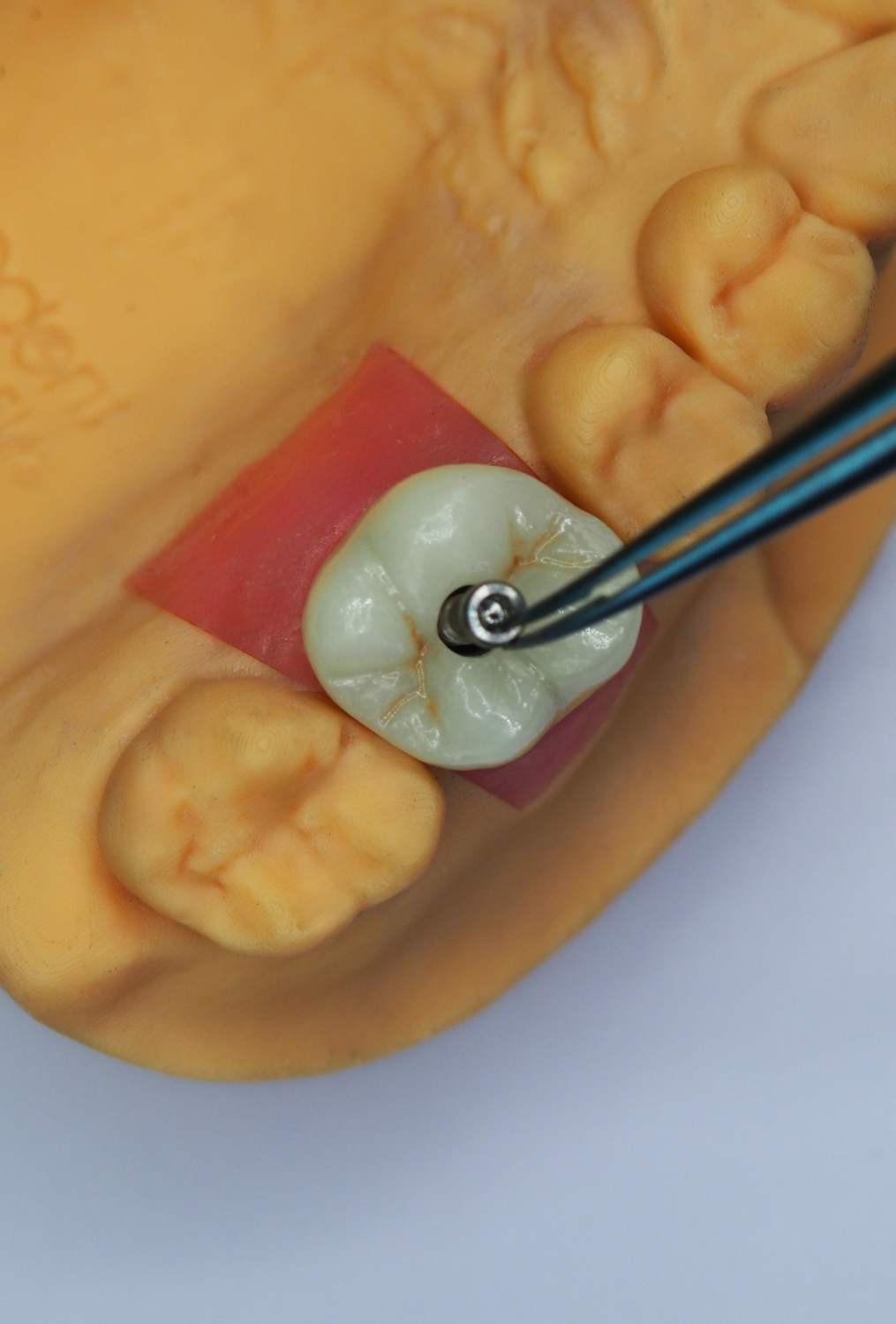 Somos My Lab Dental Somos My Lab Dental